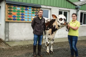 aurelien-guyot-melodie-horvais-lait-ohhh-la-vache-pontivy-genisse-normande