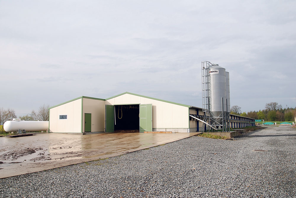 aviculture-export-enquete-marge-prix-charge-investissement - Illustration La filière avicole suspendue au destin de l’export