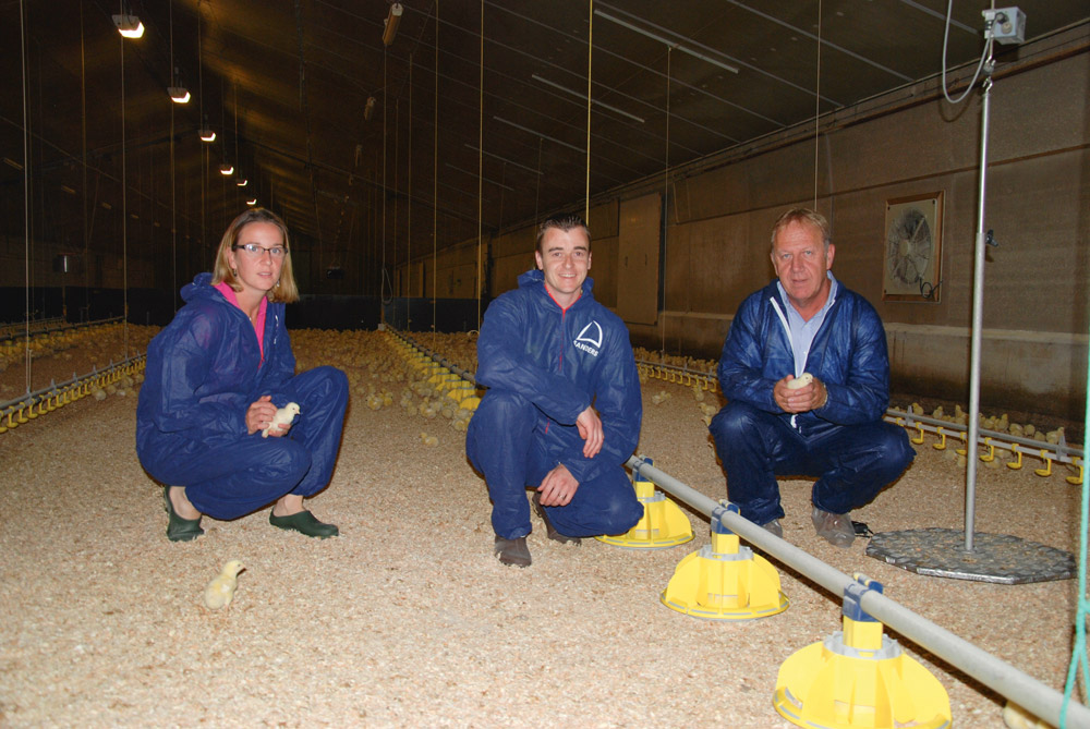 aviculture-plan-investissement-nathalie-aurelien-egault-la-fresnais-yves-bondiguel-sodimel - Illustration Un plan d’investissement sur 5 ans