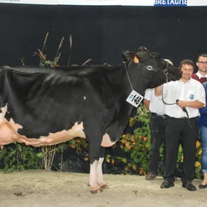 Diadem, fille de Rubens x Goldwyn, remporte le prix de Championne adulte.