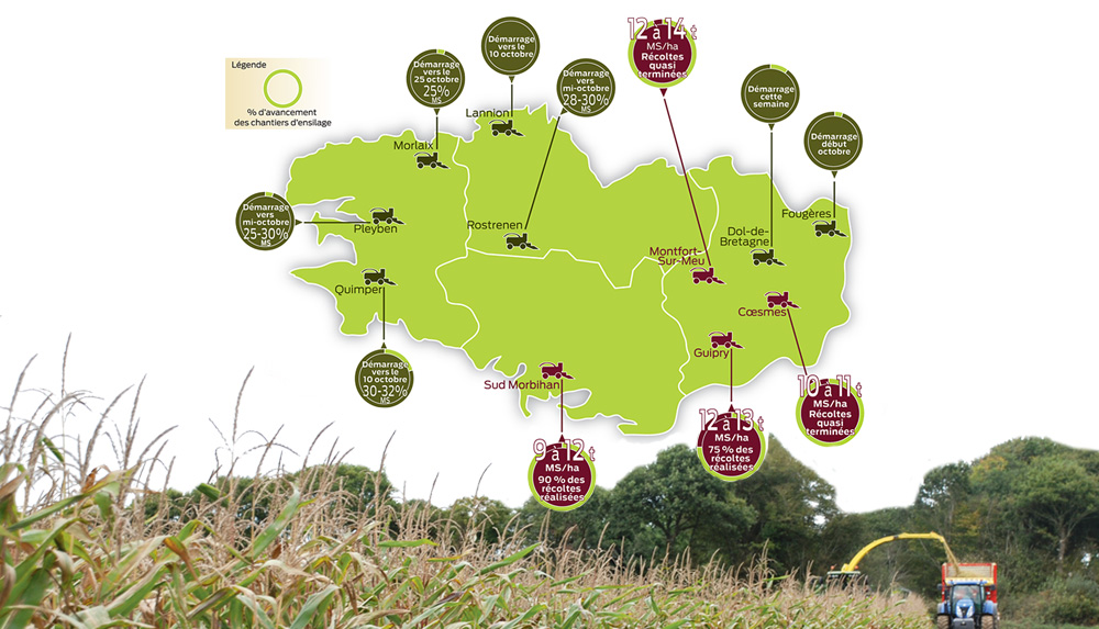 chantier-ensilage-mais-mobihan-ille-et-vilaine - Illustration Le point sur l’ensilage 