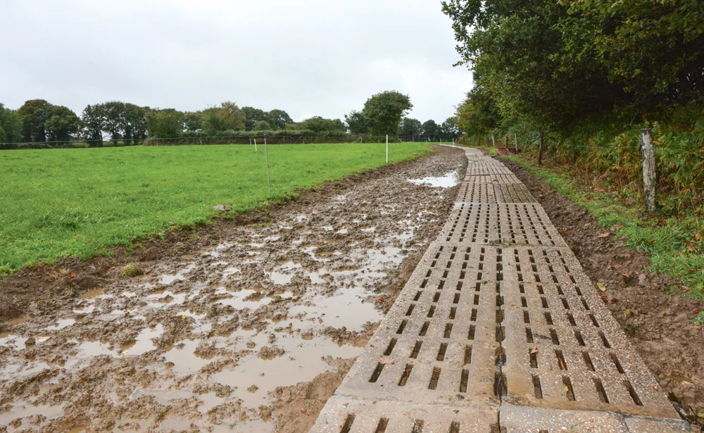 chemin-parcelle-accessible-paturage-herbe-lait - Illustration S’orienter vers plus de pâturage