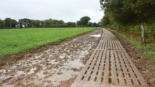 chemin-parcelle-accessible-paturage-herbe-lait