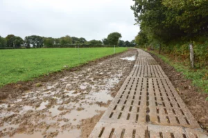 chemin-parcelle-accessible-paturage-herbe-lait