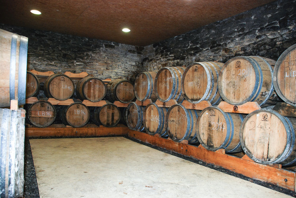 cidre-paul-coic-ploneis-verger-pomme - Illustration De la pomme du verger au cidre fermier