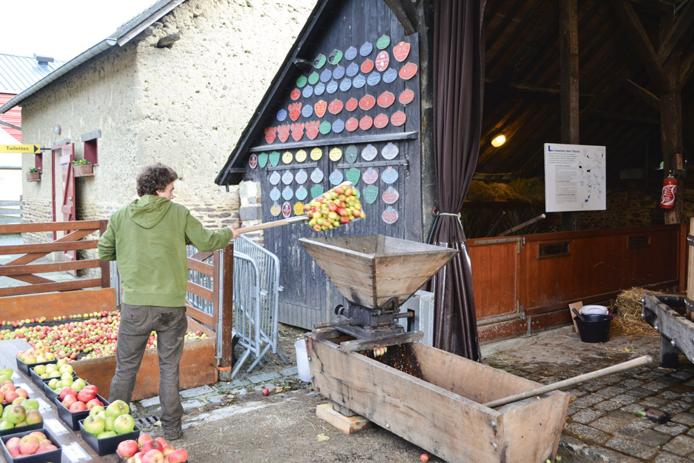 cidre-pomme-ecomusee-rennes-pressurage - Illustration Pressurage du cidre à l’Écomusée