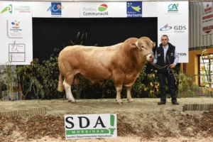 concours-bovin-blond-aquitaine-ohh-la-vache-2015