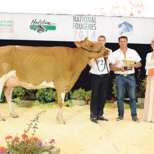 En deuxième lactation, Rainyridge (Director R x Rampage), détenue en copropriété par le Gaec Botrel