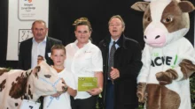 concours-pontivy-ohh-la-vache-normande