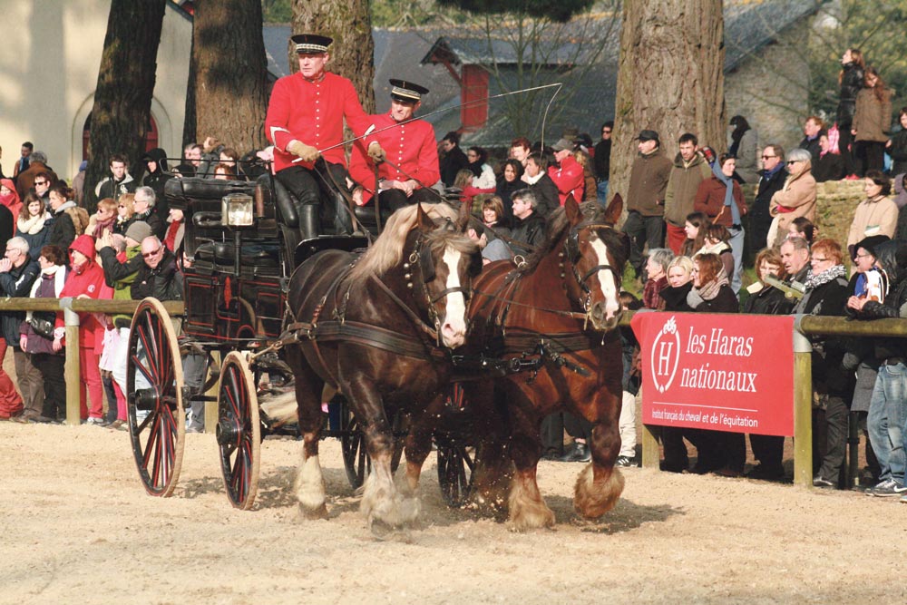 ecomusee-rennes-attelage-cheval-voiture-hippomobile - Illustration Découvrir les voitures et attelages