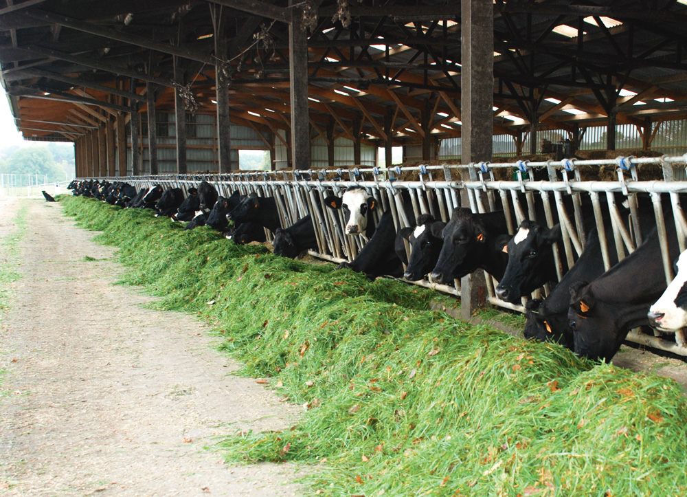 eleveur-lait-smic-etude-institut-elevage - Illustration Lait : moins d’un Smic par mois