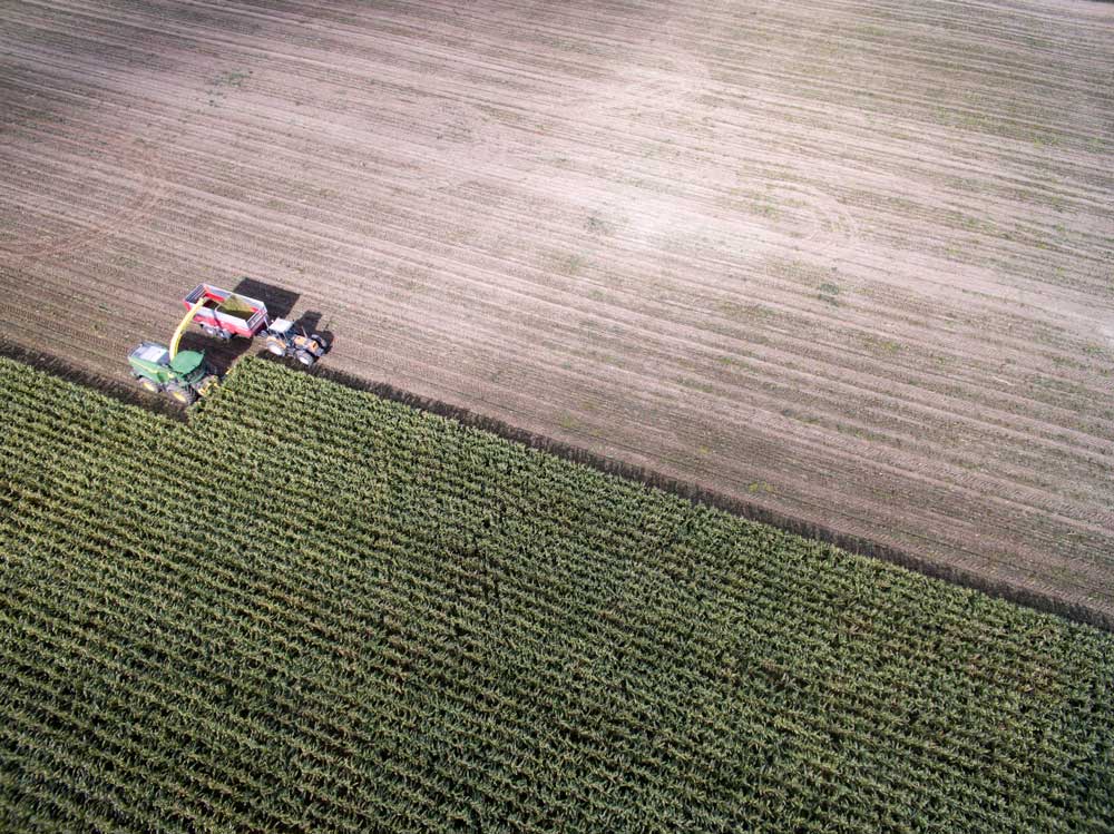 ensilage-mais-2015-dji-drone - Illustration Des ensilages de maïs avec trois semaines d’avance ?