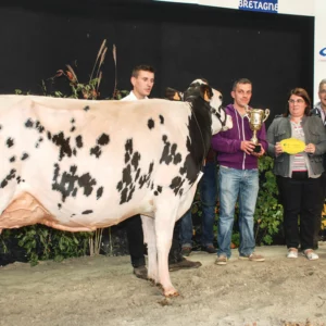 Féline, fille de Aftershock x Turcat, remporte le prix de Meilleure mamelle adulte