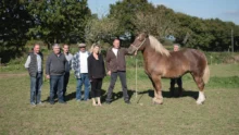 foire-kerien-cheval-alain-tiengou-animation