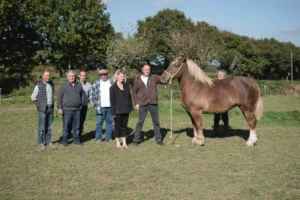 foire-kerien-cheval-alain-tiengou-animation