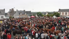 foire-poulain-cheval-bretagne