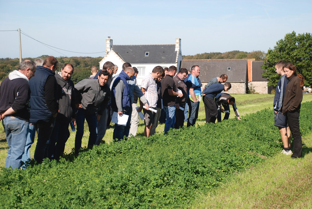 gaec-kergouezan-gramine-legumineuse-melange-enrubannage - Illustration Le Gaec de Kergouezan mise sur les mélanges graminées-légumineuses