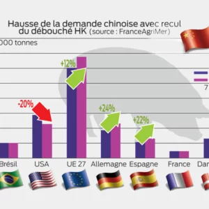 Hausse de la demande chinoise avec recul du débouché HK