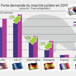 Forte demande du marché coréen en 2015