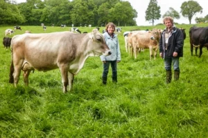 paturage-herbe-porte-ouverte-pierrick-veronique-charles-henon