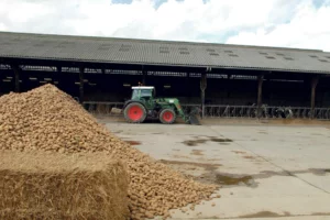 performance-economique-lait-cout-alimentaire