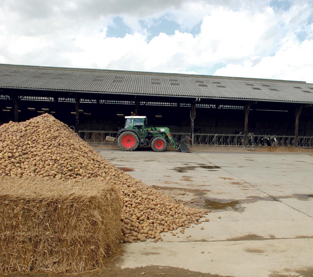 performance-economique-lait-cout-alimentaire - Illustration La performance économique optimisée