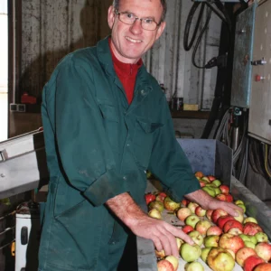 Paul Coïc réceptionne les pommes et les trie avant le broyage
