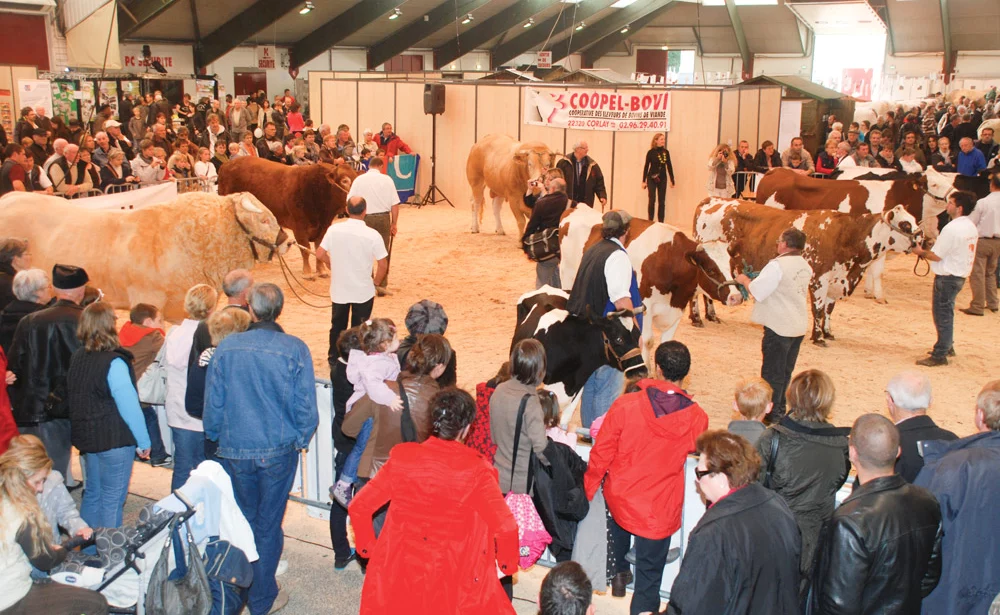 pontivy-ohhh-la-vache-concours-bovin-2015 - Illustration Ohhh la vache ! Les 17 et 18 octobre