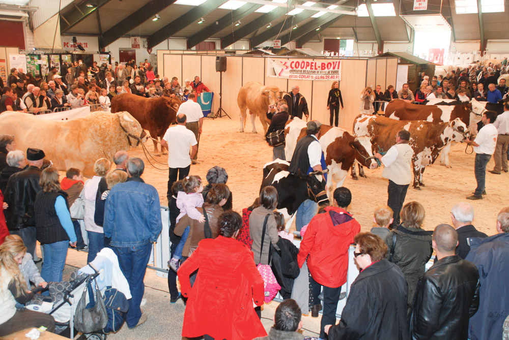 pontivy-ohhh-la-vache-concours-bovin-2015 - Illustration Ohhh la vache ! Les 17 et 18 octobre