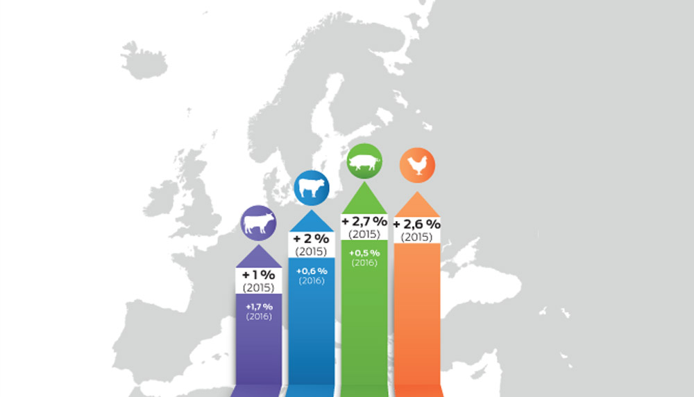 production-animale-europeenne-prix - Illustration La chute des prix ne freine pas les productions animales européennes 
