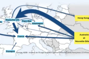 production-ovin-marche-francais-impact-meteorologique-politique-asie-oceanie