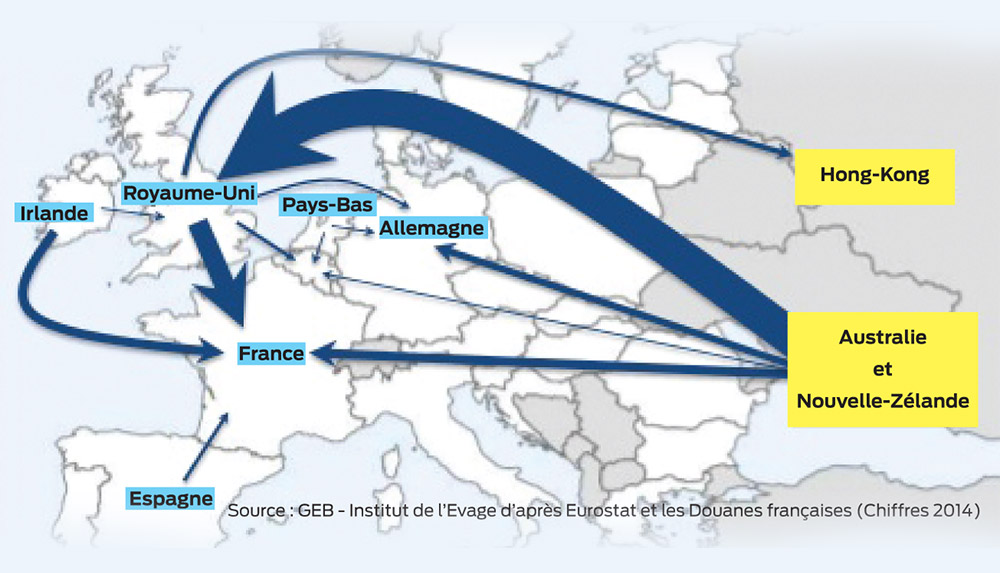 production-ovin-marche-francais-impact-meteorologique-politique-asie-oceanie - Illustration Un marché ovin en mouvement