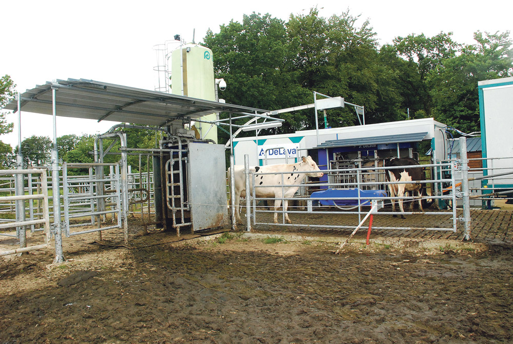 robot-traite-trevarez-vache-lait - Illustration Le robot prend la clé des champs