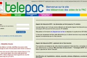 telepac-site-declaration