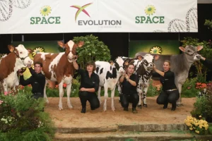 vente-genomic-elite-2015-multi-race-concour-bovin-space