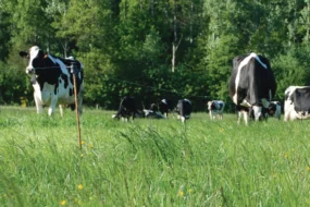 aep-agriculture-ecologiquement-performante-ille-et-vilaine