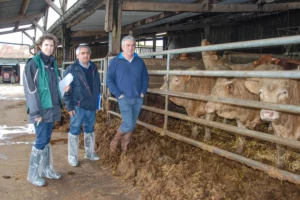 bovin-viande-antibiotique-taurillon-carole-tocze-jean-paul-hay-paul-diot-poulet-label-rouge