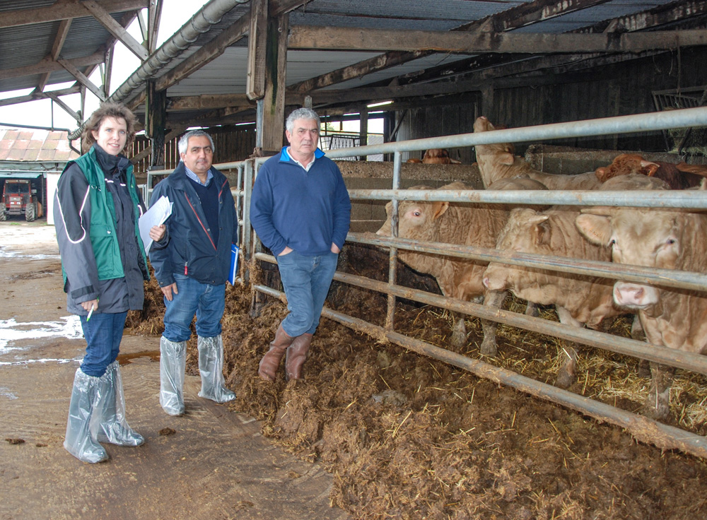 bovin-viande-antibiotique-taurillon-carole-tocze-jean-paul-hay-paul-diot-poulet-label-rouge - Illustration Pas d’antibiotique depuis trois ans