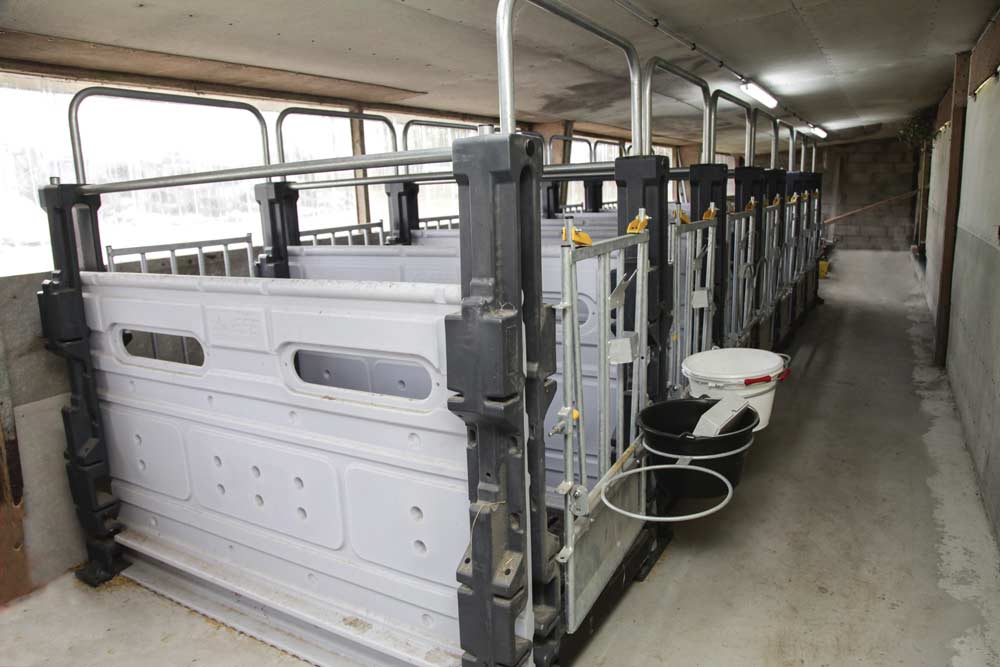 Photo of Rénover un bâtiment pour une nurserie à veaux