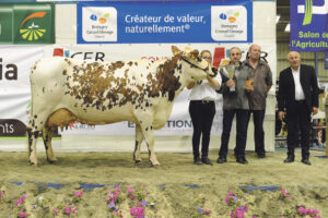 Dacodac, à l’EARL de Saint-René, Grande championne Normande