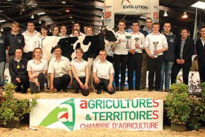 clippage-concours-foire-rennes-genisse-formation
