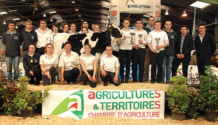 clippage-concours-foire-rennes-genisse-formation