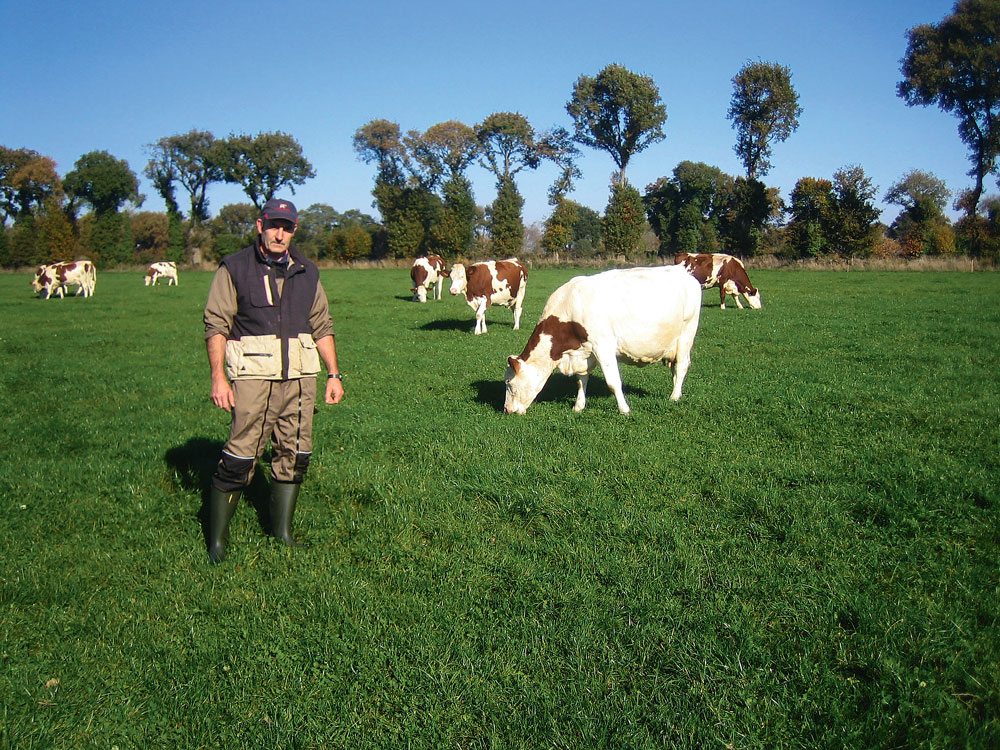 dominique-le-crom-lait-bio-trefle-mais-herbe-paturage - Illustration L’échange de terres a facilité le passage en lait bio
