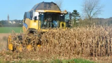 ensilage-mais-cereale-ble-colza-maladie-recolte-climat-culture