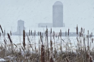 ferme-canada-climat-neige-cereale-mais-colza-soja-recolte-production