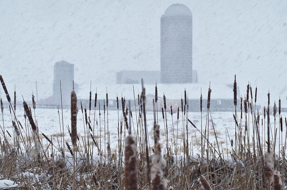 ferme-canada-climat-neige-cereale-mais-colza-soja-recolte-production - Illustration 2014, le défi de la croissance