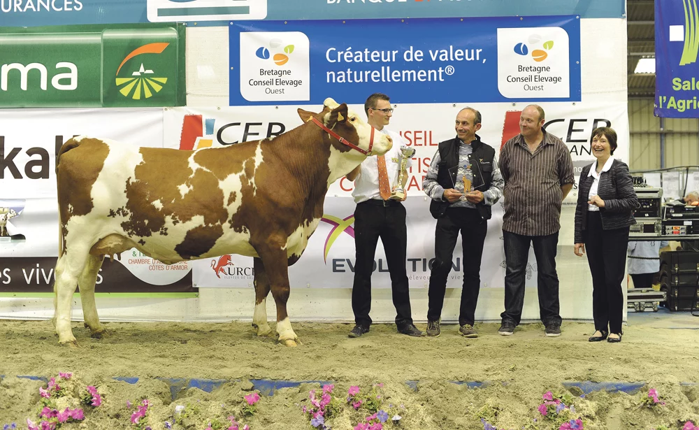 Fiesta, à l’EARL du Bois Mogaly, Grande championne - Illustration Concours des races laitières aux Terralies
