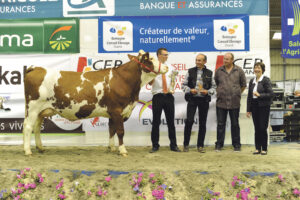 Fiesta, à l’EARL du Bois Mogaly, Grande championne 