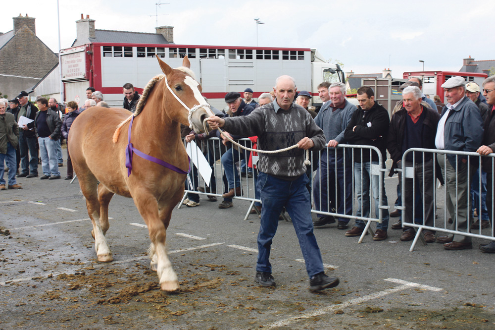 foire-plaintel-cheval-2014 - Illustration Plaintel fait la foire