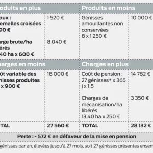 Hypothèse 2 : mise en pension 